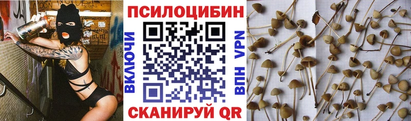 Псилоцибиновые грибы прущие грибы  Белая Холуница 